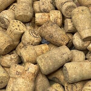 50 NATURAL CHAMPAGNE BOTTLE CORKS, Big Variety Crafting Wedding DIY Art Recycled